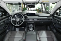 2023 2.0L Automatic Zhizhen Edition