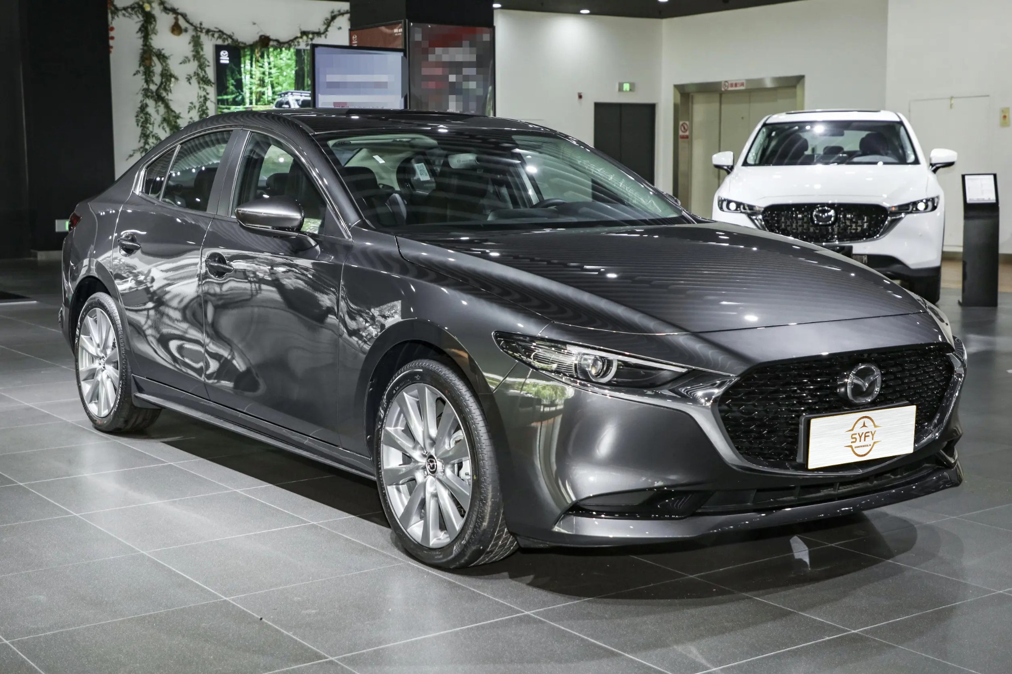 2023 2.0L Automatic Zhiyao Edition