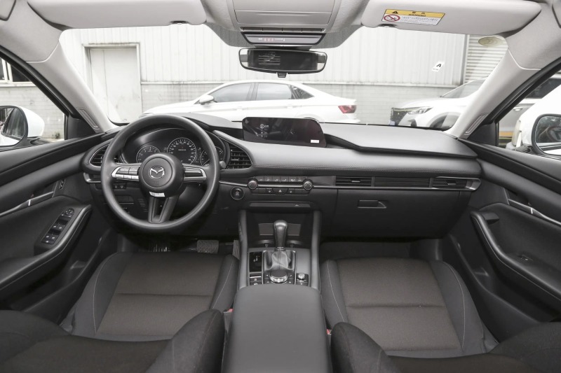 2023 2.0L Automatic Zhiqing Edition
