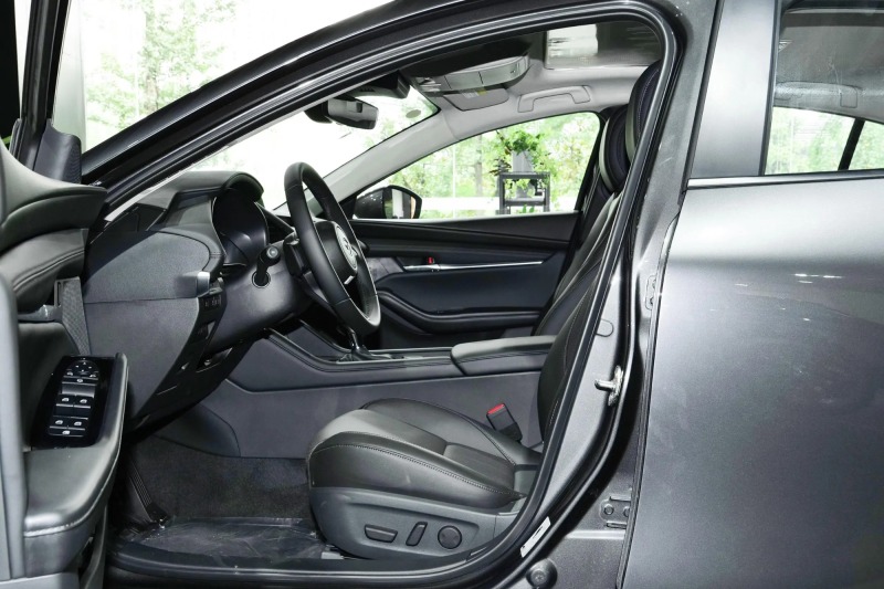 2023 2.0L Automatic Zhizhen Edition