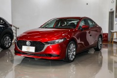 2023 2.0L Automatic Zhiya Edition