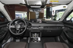2023 2.0L Automatic Zhiya Edition