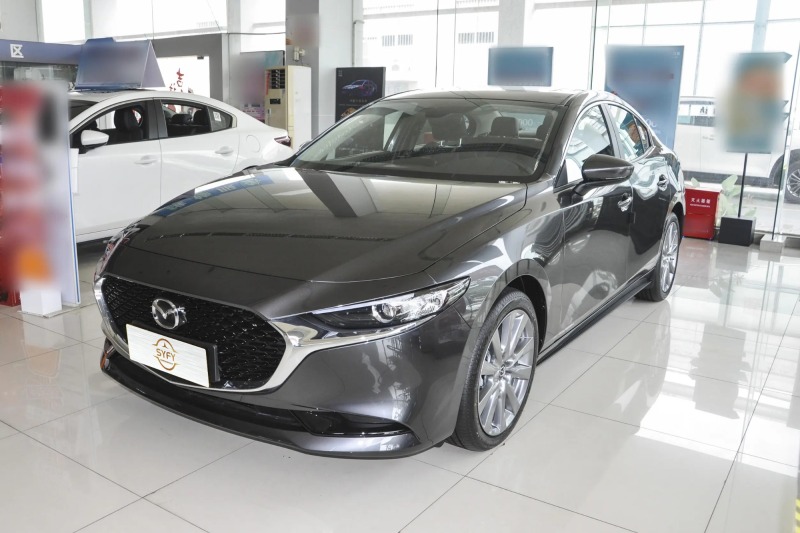 2023 2.0L Automatic Zhiya Edition