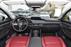 2023 2.0L Automatic Zhiya Edition
