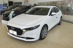 2023 2.0L Automatic Zhiya Edition
