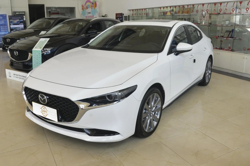 2023 2.0L Automatic Zhiya Edition