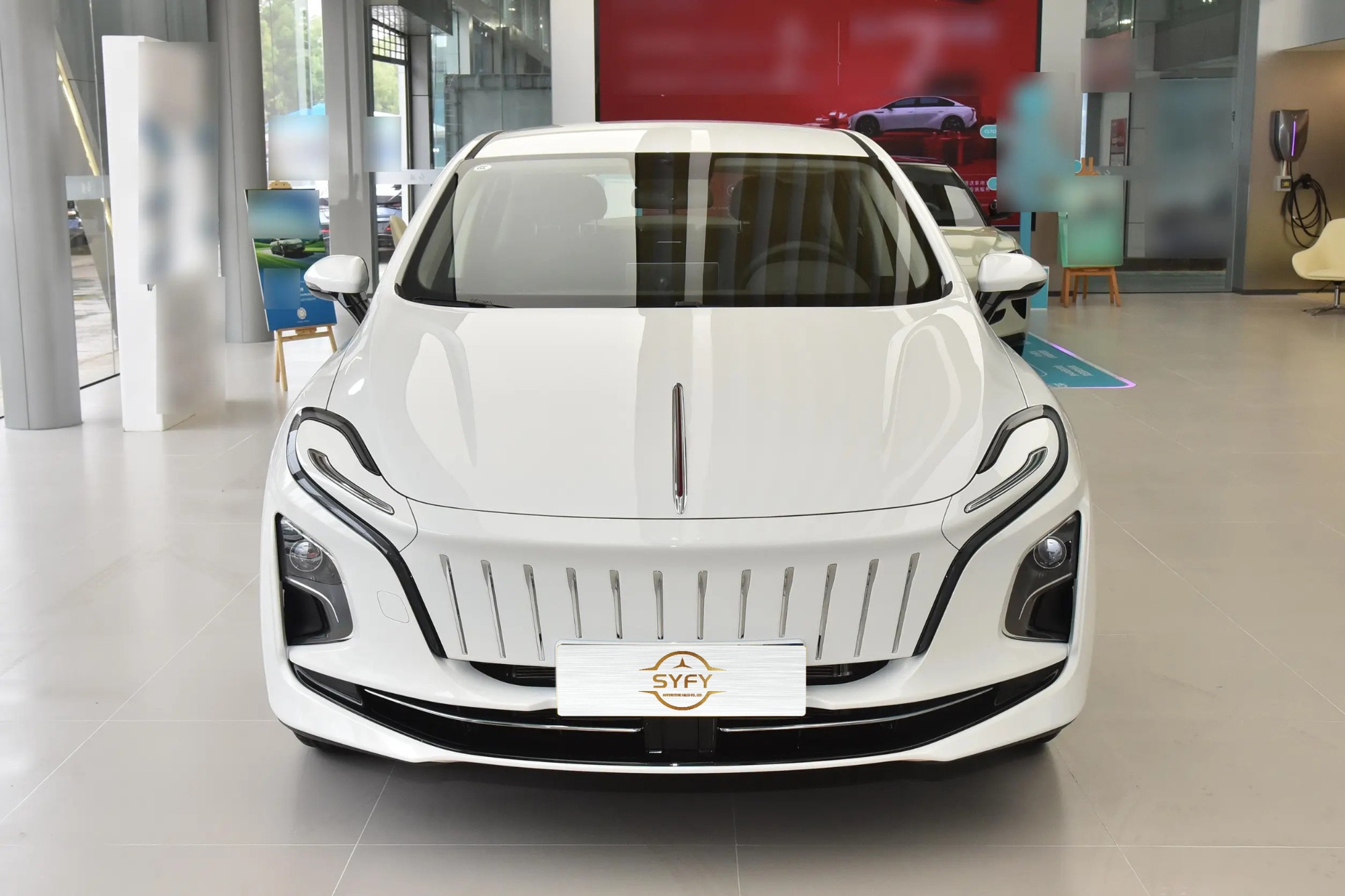 Hongqi E-QM5 2024 500KM Travel Edition 100kw