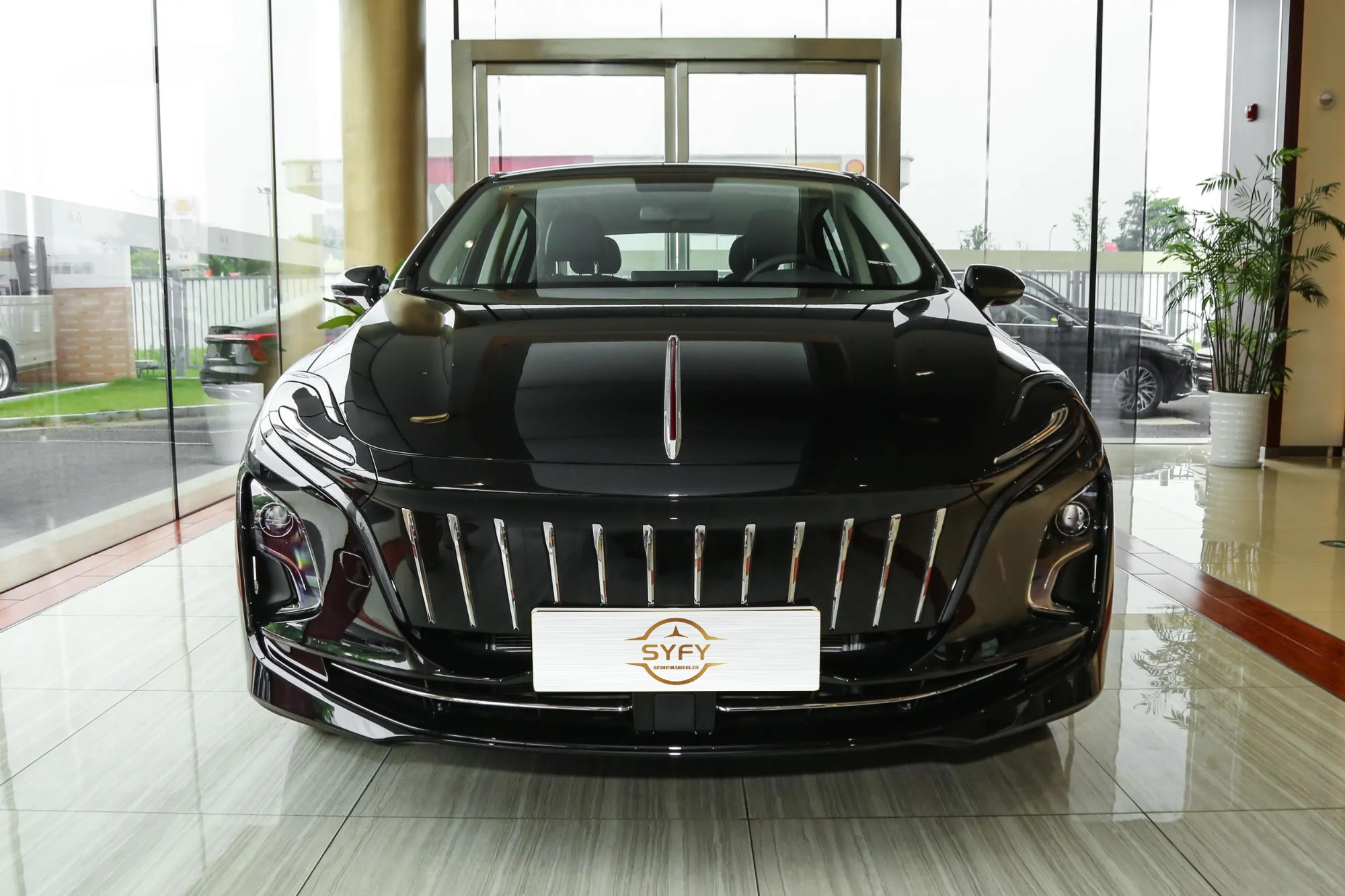 Hongqi E-QM5 2024 500KM Travel Edition 100kw