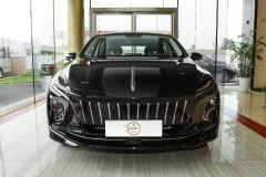 Hongqi E-QM5 2024 500KM Travel Edition 100kw