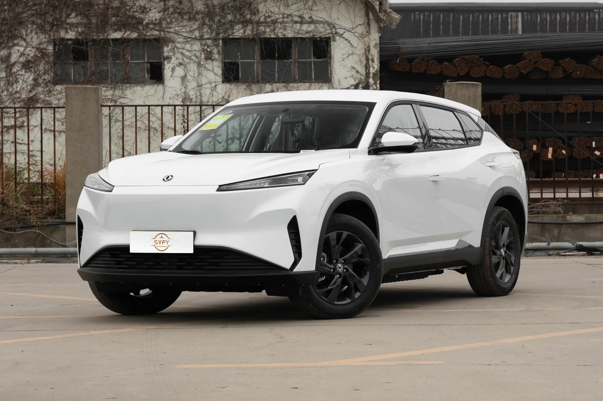 Dongfeng Aeolus SkY EV01 530km PRO Elite Edition