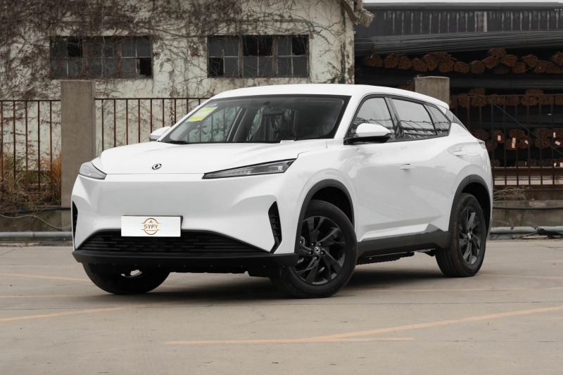 Dongfeng Aeolus SkY EV01 530km PRO Elite Edition