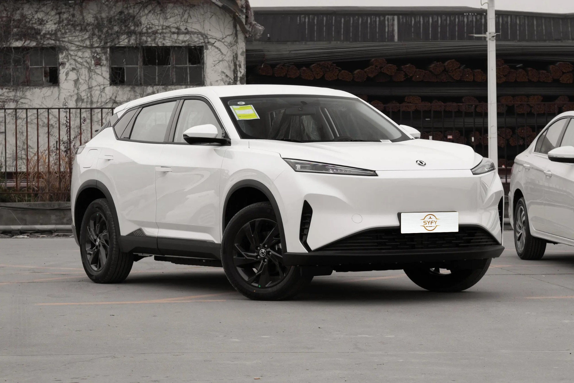 Dongfeng Aeolus SkY EV01 530km PRO Elite Edition
