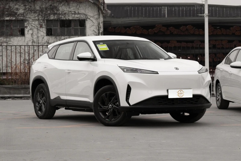 Dongfeng Aeolus SkY EV01 530km PRO Elite Edition