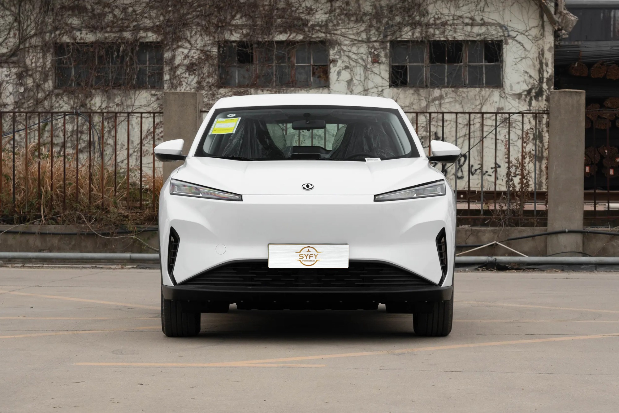 Dongfeng Aeolus SkY EV01 530km PRO Elite Edition