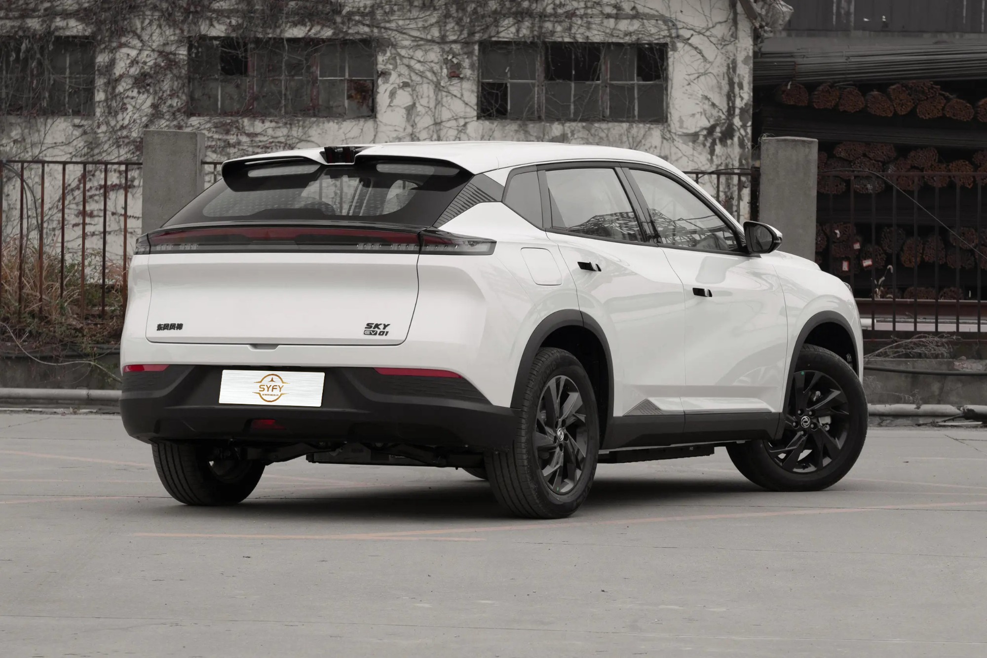 Dongfeng Aeolus SkY EV01 530km PRO Elite Edition