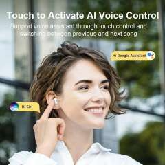 Baseus WM01 Bluetooth 5.0 Earbuds TWS Wireless Earphones with Microphone Headphones