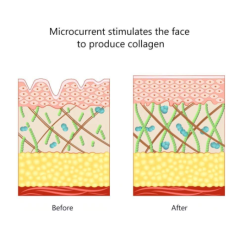 Microcurrent Skin Tightening Face Trinity Pro Facial Trainer Kit For Face Lift Machine