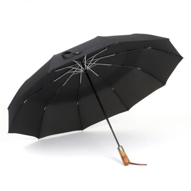 OLYCAT Umbrella Luxury Fully Automatic Umbrella for Rain Windproof Strong Big Golf Folding Brand Umbrella