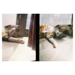 New KODAK EKTAR H35 Half Frame Camera 35mm Film Camera Reusable Film Camera With Flash Light