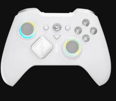 NEW ZD O+ Excellence Wireless Controller