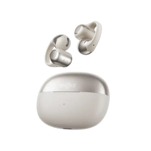 2025 New Shokz OpenDots One Earphones