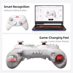 BEITONG Pangu Modular Game Controller