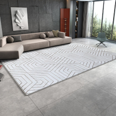 Modern Carpets for Living Room 3D Pattern Nonslip Large Rug hotel Kids Room Carpet Bedside Mats