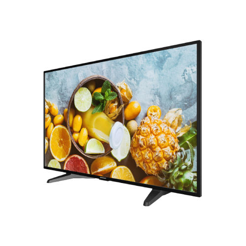 42.5-inch FHD Monitor | DS-D5043QE