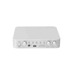 60W Analog Amplifier | DS-QAE0A60G1-VB