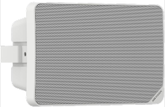 Analog Cabinet Speaker 20W | DS-QAE0120G1R