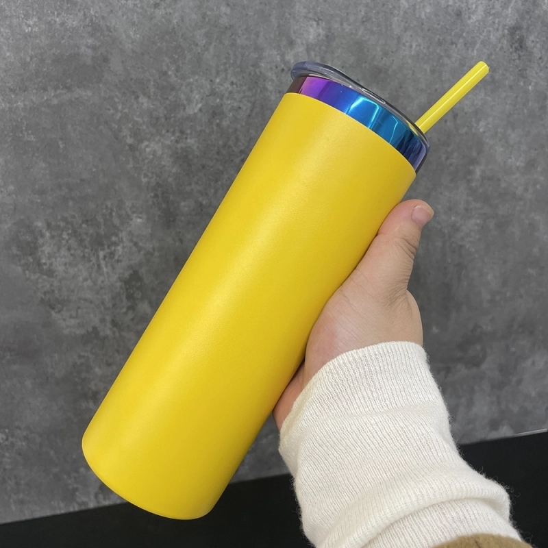 25 Pack USA Warehouse 20oz Rainbow Plated Straight Tumbler 20 oz Cup With Colored PP Straw