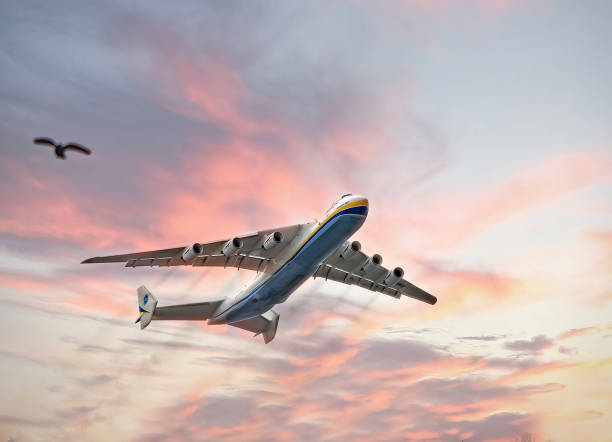 Expedited Air Freight