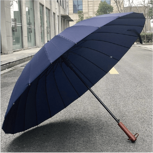 Umbrella