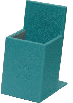 Customized Room Leather Items