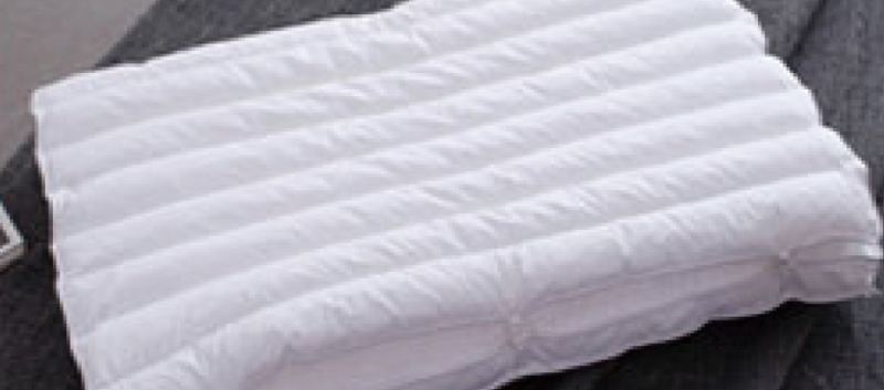 BUCK WHEAT DOWN PILLOW