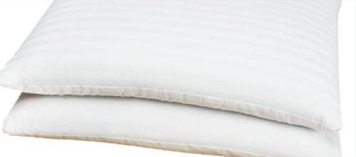 BUCK WHEAT PILLOW
