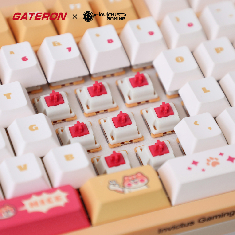 GATERON IG 98 Co-branded customized Mechanical Keyboard