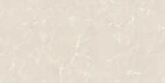 POLISHED PORCELAIN PY61013