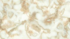POLISHED PORCELAIN PY61008
