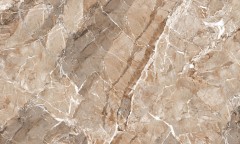 POLISHED PORCELAIN PY61005