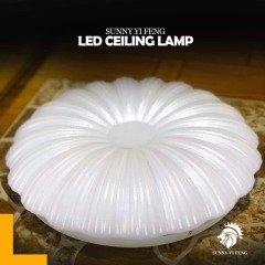 CEILING LAMPS FOR MODERN HOME HOTELS LIVING ROOM