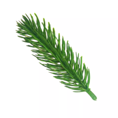High Quality Artificial PE Christmas Tree Branch with Eco-friendly Xmas Tree Branch