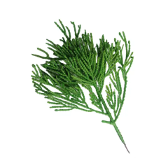 Different Kinds Artifical PE Christmas Tree Branch with Eco-friendly Xmas Tree Branch