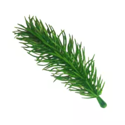 High Quality Artificial PE Christmas Tree Branch with Eco-friendly Xmas Tree Branch