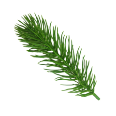 High Quality Artificial PE Christmas Tree Branch with Eco-friendly Xmas Tree Branch