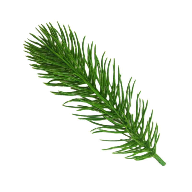 High Quality Artificial PE Christmas Tree Branch with Eco-friendly Xmas Tree Branch