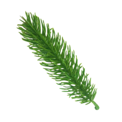 High Quality Artificial PE Christmas Tree Branch with Eco-friendly Xmas Tree Branch