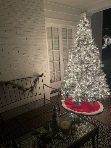 Trees vs. Real Christmas Trees: Which Saves Money in the Long Run?