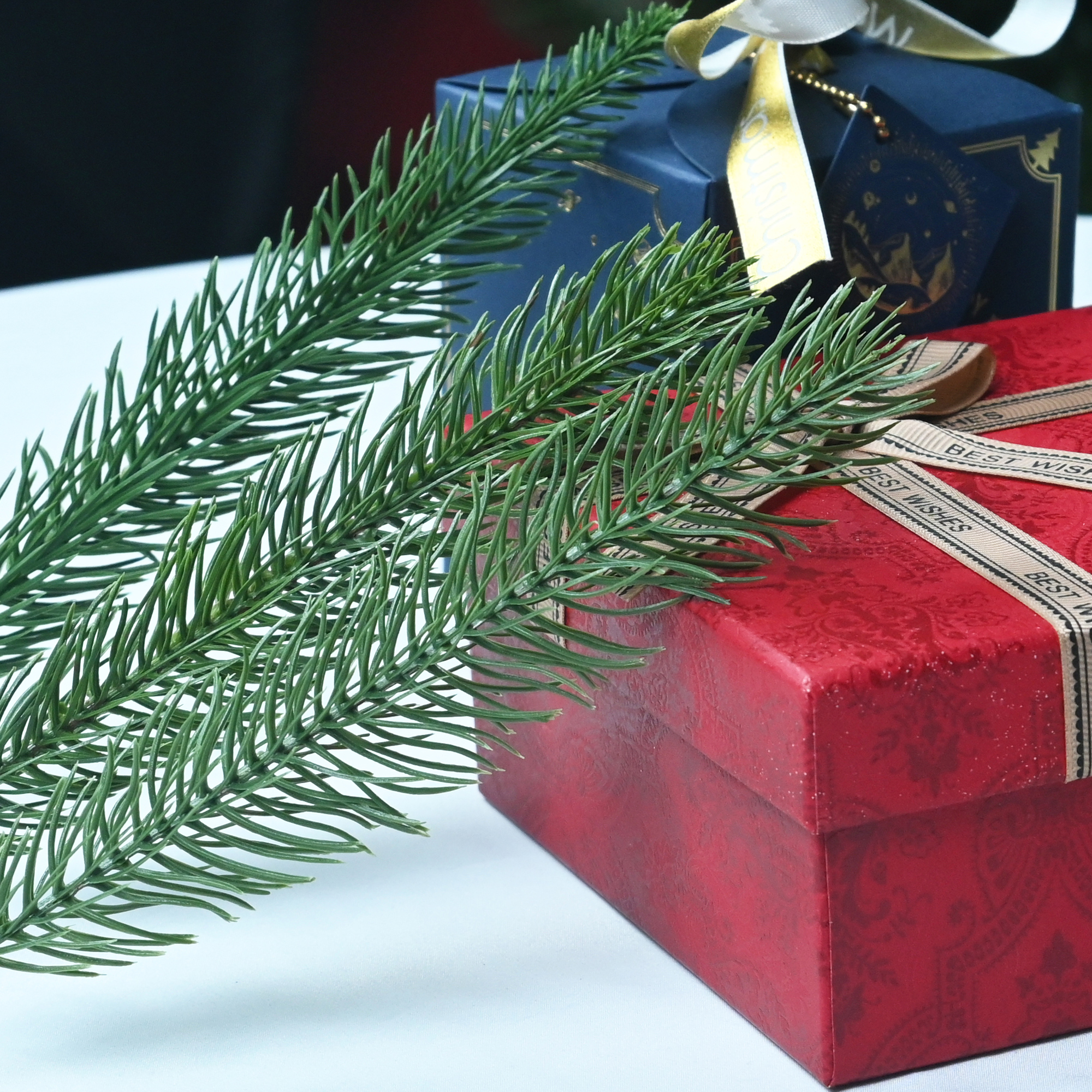 Versatile and Sustainable PE Artificial Leaves for Christmas Trees and Decorations