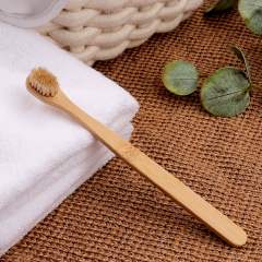 棕色头发小牙刷